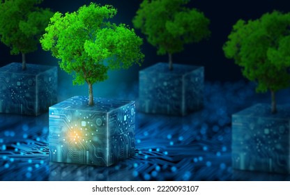 Tree growing on Circuit digital cube. Digital and Technology Convergence. Blue light and Wireframe network background. Green Computing, Green Technology, Green IT, csr, and IT ethics Concept. - Shutterstock ID 2220093107