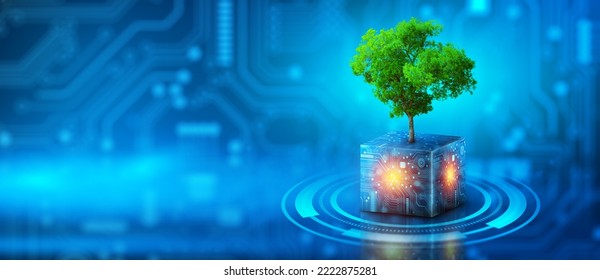 Tree growing on Circuit Digital Cube. Digital and Technology Convergence. Blue light and Wireframe network background. Green Computing, Green Technology, Green IT, csr, and IT ethics Concept. - Shutterstock ID 2222875281