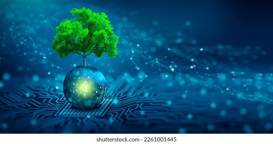 Tree growing on Circuit digital ball. Digital and Technology Convergence. Blue light and Wireframe network background. Green Computing, Green Technology, Green IT, csr, and IT ethics Concept. - Powered by Shutterstock