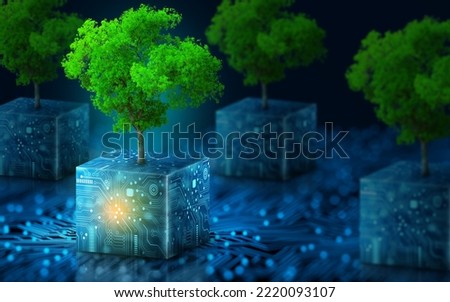Tree growing on Circuit digital cube. Digital and Technology Convergence. Blue light and Wireframe network background. Green Computing, Green Technology, Green IT, csr, and IT ethics Concept.