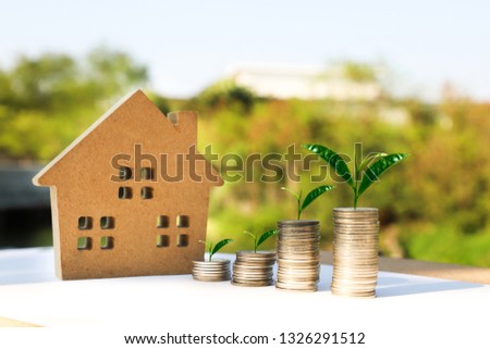 Tree growing on coins stack with sunray for saving money concept