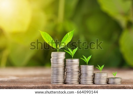 Tree growing on coins stack with sunray for saving money concept