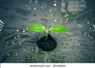 tree growing on a computer circuit board / green it / green computing / csr / it ethics