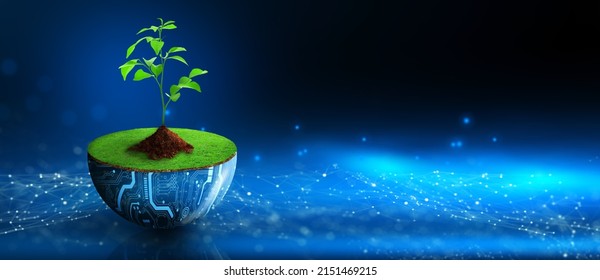Tree growing on digital plant pot. Eco Technology and Technology Convergence. Green Computing, Green Technology, Green IT, csr, and IT ethics Concept. - Shutterstock ID 2151469215