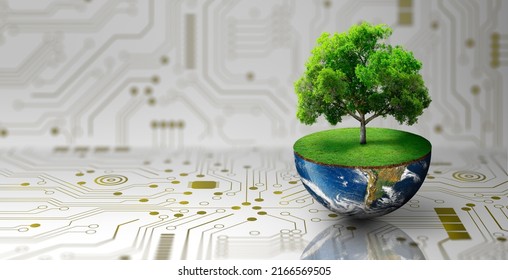 Tree growing on half of earth with green grass and butterfly. Digital and Technology Convergence. Green Computing, Green Technology, Green IT, csr, and IT ethics Concept. Image furnished by NASA. - Shutterstock ID 2166569505