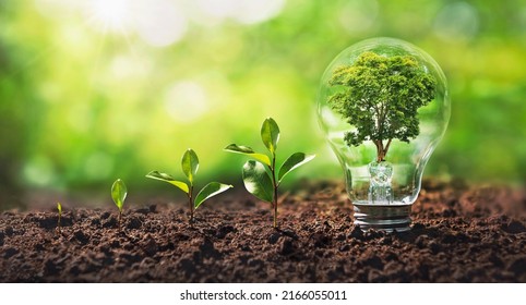 tree growing on light bulb with sunshine in nature and small plants growth stepe. saving energy and eco concept - Shutterstock ID 2166055011