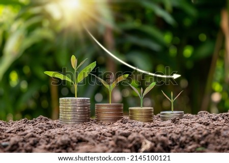 tree growing on a pile of declining money. The concept of finance, economic crisis, financial crisis, and economic downturn.