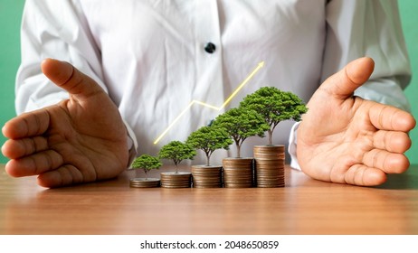 Tree growing on piles of money and graph showing business growth ideas to maximize profits from business investments. - Shutterstock ID 2048650859