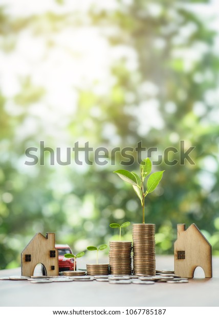 tree growing on stacking dollars coins with a\
house and car model.save and investment for buy house concept .for\
the future.