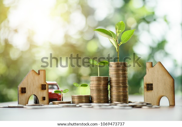 tree growing on stacking dollars coins with a\
house and car model.save and investment for buy house concept .for\
the future.