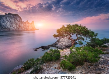 Tree growing from the rock against sea, mountains and colorful cloudy sky with sunlight at twilight in summer. Beautiful mountain landscape at sunset. Nature and travel. Purple sky. Blurred clouds