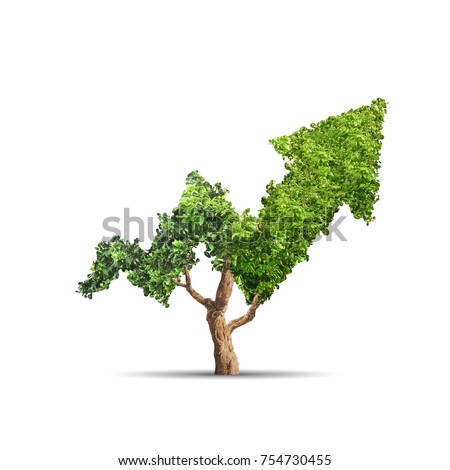 Tree grows up in arrow shape over white background. Concept business image