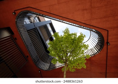 A tree grows in the center of a modern building courtyard. Terrace or private territory with park. Concept of landscape and architectural design, low angle view - Powered by Shutterstock