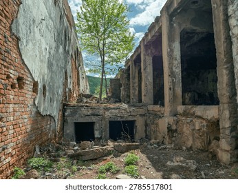A tree grows in the middle of old building ruins. Broken walls and empty structures surround the area
