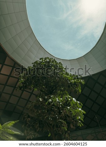 A tree grows within a circular architectural opening, reaching towards the sky.