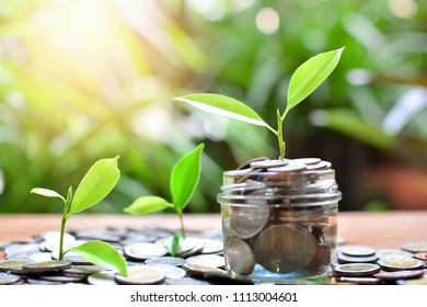 tree growth up on money coins saving for concept investment mutual fund finance and pension retirement  - Shutterstock ID 1113004601