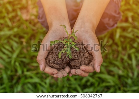 Similar – Image, Stock Photo Dirty boy hands holding small young herbal sprout plant