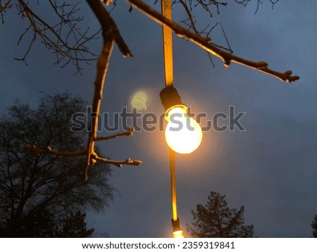 Similar – light chain Winter Tree