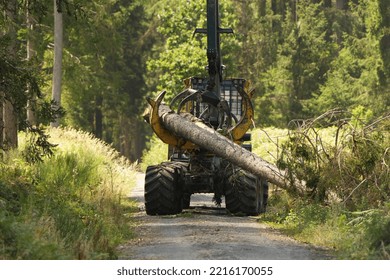 Tree Harvester Working In A Forest. Harvest Of Spruce.