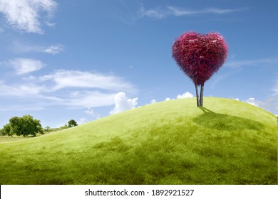Tree with heart shape with a red leaf on the field with a blue sky background