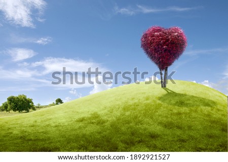Tree with heart shape with a red leaf on the field with a blue sky background