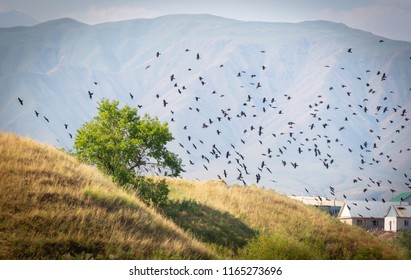 A tree and a hill with a lot of crows sitting and flying on it
