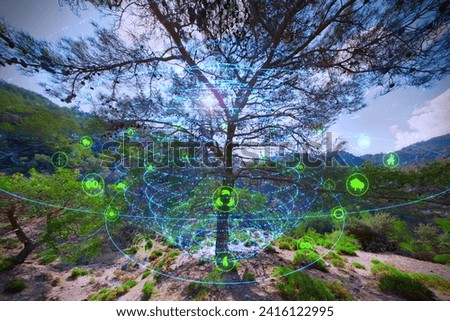 A tree in a holographic digital sphere. Concept of ecology, renewable energy sources, environment, green technology, sustainable development goals (SDG), biotechnology and bioengineering.