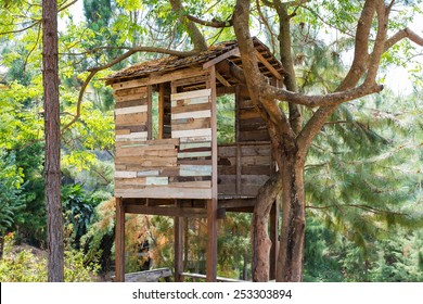 Tree House