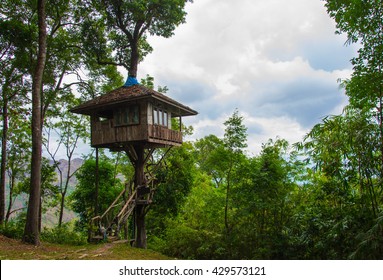 Tree House