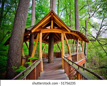 Tree House