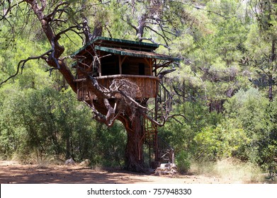 Tree house in the countryside