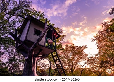 The tree house at dusk
