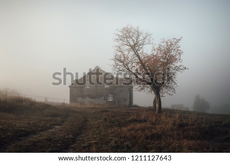 Similar – Medieval castle ruins in autumn, Krimulda, Sigulda, Latvia