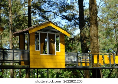 tree house made of wood in the pine forest tourist park. - Powered by Shutterstock - Get 15% off with code: PIKWIZARD15
