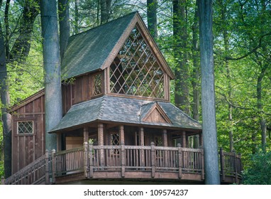 Tree House In The Woods