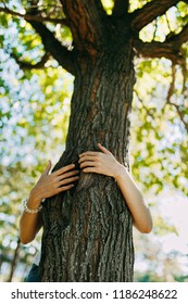 Tree hugging. Close-up of hands hugging tree