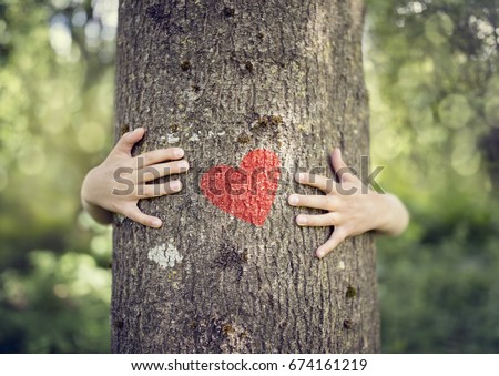 Similar – Image, Stock Photo Eco activist boy with banner “Wind Energy” on background of power stations for renewable electric energy production. Child and windmills. Wind turbines for generation electricity. Green energy