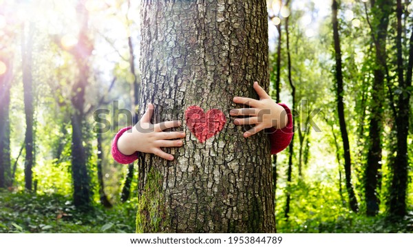 Tree Hugging - Love Nature - Child Hug The Trunk\
With Red Heart Shape