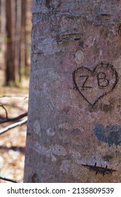 A Tree With Initials Of Couple Signed On It.