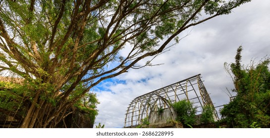 Tree with a large archway in front of it. The archway is made of wood and is covered in vines. The sky is cloudy and the leaves on the tree are green