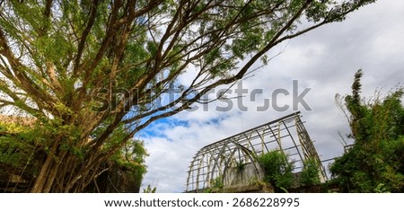 Tree with a large archway in front of it. The archway is made of wood and is covered in vines. The sky is cloudy and the leaves on the tree are green