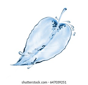 Tree leaf made of water splashes on white background 