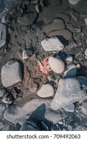 Tree leaf on empty river with rocks