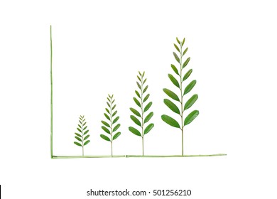 Tree Leaves Arranged As A Green Graph / Csr / Sustainable Development /corporate Social Responsibility