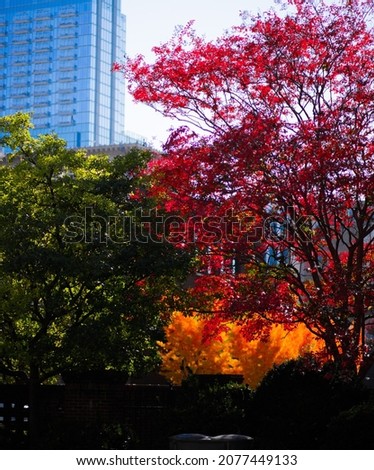 Similar – Image, Stock Photo Autumn is here Environment