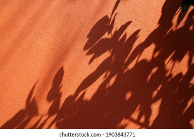 Tree Leaves Shadow On Orange Concrete Wall Texture Background.