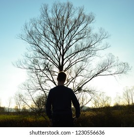 tree of life