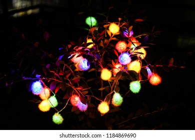 a tree light 01