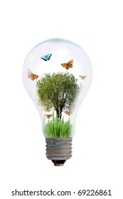 Tree in a light bulb isolated on white background