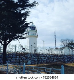 tree and Lighthouse